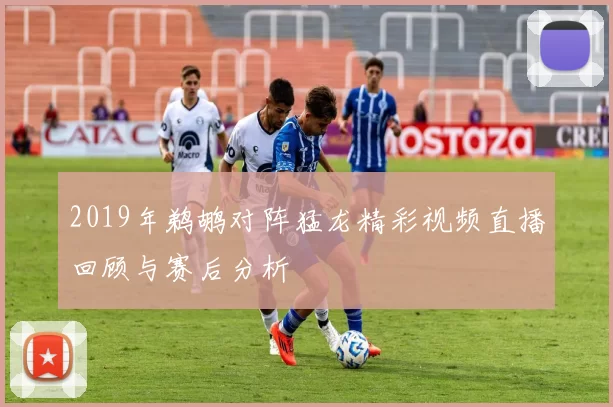 2019年鹈鹕对阵猛龙精彩视频直播回顾与赛后分析