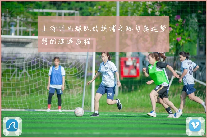 上海羽毛球队的拼搏之路与奥运梦想的追逐历程